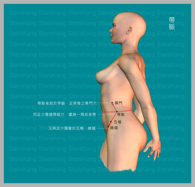 帶脈-1