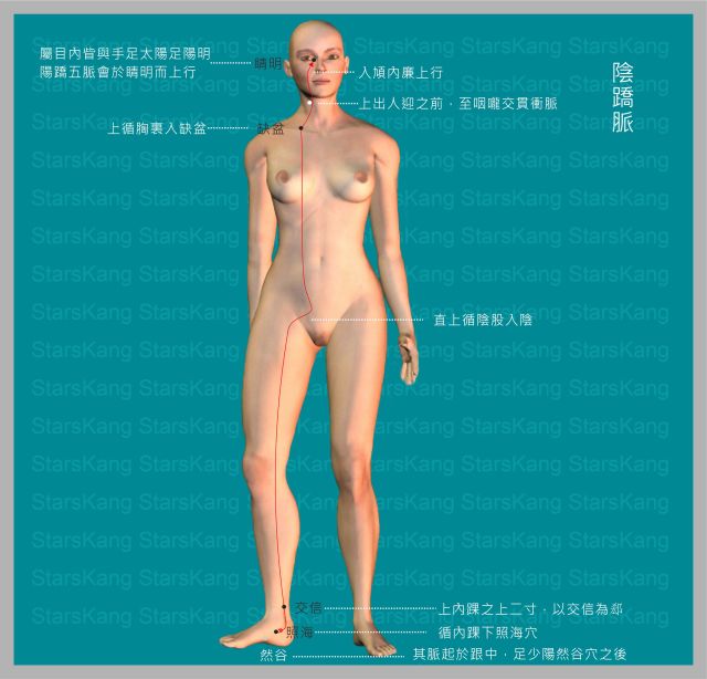 陰蹻脈-1